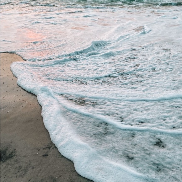 coastal_curated